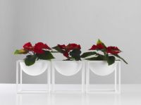 Billede af Audo Copenhagen Kubus Bowl Lille 14x14 cm - Hvid