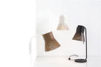 Billede af Secto Design Petite 4600 Pendel Ø: 20 cm - Sort