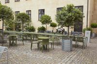 Billede af HAY Palissade Chair SH: 45 cm - Olive 