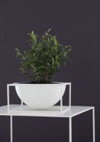 Billede af Audo Copenhagen Kubus Bowl Centerpiece Stor Ø: 23 cm - Hvid