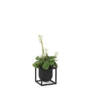 Billede af Audo Copenhagen Kubus Flowerpot 10 10x10 cm - Sort 