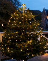 Billede af Sirius Knirke Juletræslyskæde H: 1,8 m - Warm White