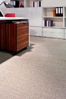 Billede af Fraster Lunar 4001 Tæppe 245x300 cm - Sand