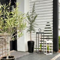 Billede af LOOM Design Lucerna Lanterne H: 50 cm - Sort