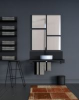 Billede af FROST Pedalspand 250 Small 6L - Mat Sort