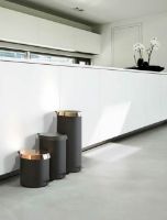 Billede af FROST Pedalspand 550 Large 15L - Mat Sort/Poleret Guld