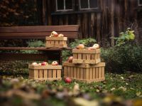 Billede af FDB Møbler X1 Monica Ritterband Æblekasse Small - Eg / Natur 