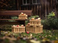 Billede af FDB Møbler X1 Monica Ritterband Æblekasse Large - Eg / Natur 