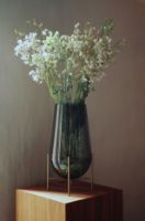 Billede af Audo Copenhagen Échasse Vase M H: 45 cm - Brass / Green Smoked Glass