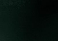 Billede af HAY AAC 23 About A Chair SH: 46 cm - Lacquered Oak Veneer/Lola Dark Green