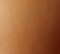 Billede af HAY AAC 27 About A Chair SH: 46 cm - Black Powder Coated Steel/Sense Cognac