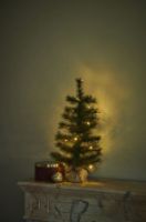 Billede af Sirius Alvin Juletræ m/20 lys H: 60 cm - Warm White OUTLET