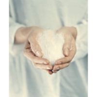 Billede af Elvang Filling Pudefyld 40x60 cm - Ivory