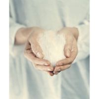 Billede af Elvang Filling Pudefyld 50x50 cm - Ivory