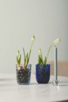 Billede af Kodanska Danish Summer Tumbler Big Drops 25 cl - Blue   OUTLET