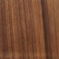 Billede af Duus & Møller Meadow Bænk L: 120 cm - Massiv Valnød/Valnøddefiner