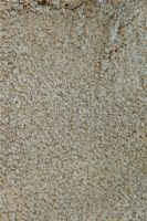 Billede af Fraster Cashmere 2539 Tæppe 200x300 cm - Dusty Green