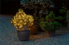 Billede af Sirius Top-Line Net Start Set 100 LED Lys