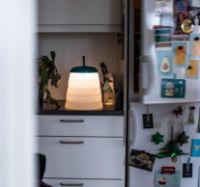 Billede af Foscarini Cri Cri Outdoor Ø: 23,5 cm - Verde 