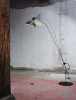 Billede af DCW Editions Mantis BS8 L Schottlander Floor H: 174 cm - Black