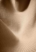 Billede af GUBI Beetle Dining Chair Conic Base  - Black Chrome Base/Walnut Shell/Flair