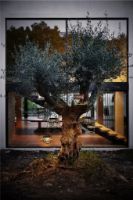 Billede af Cane-line Outdoor Illusion Lampe H: 32 cm - Dark Green