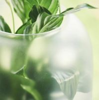 Billede af Gejst Nebl Urtepotteskjuler Big H: 30 cm - Sort  OUTLET