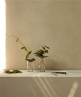 Billede af Audo Copenhagen Cresco Propagation Vases 2 stk - Brown/Clear Glass