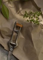 Billede af Audo Copenhagen Pallarés x Audo Copenhagen Plant Pruner L: 23 cm - Steel