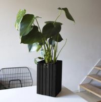 Billede af Squarely Copenhagen GrowSMALL 14x14 cm - Black Ash