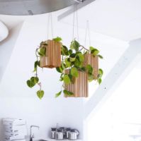 Billede af Squarely Copenhagen GrowSMALL 14x14 cm - Natural Ash