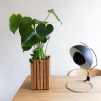 Billede af Squarely Copenhagen GrowSMALL 14x14 cm - Natural Ash