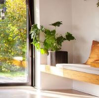 Billede af Squarely Copenhagen GrowON 22x22 cm - Black Ash