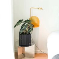 Billede af Squarely Copenhagen GrowON 22x22 cm - Black Ash