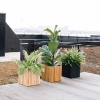 Billede af Squarely Copenhagen GrowON 22x22 cm - Black Ash