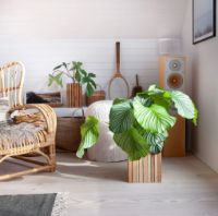 Billede af Squarely Copenhagen GrowON 22x22 cm - Natural Ash