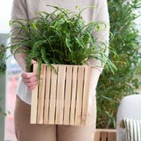 Billede af Squarely Copenhagen GrowON 22x22 cm - Natural Ash