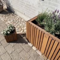 Billede af Squarely Copenhagen GrowLARGE 90x45 cm - Dark Oak