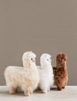 Billede af Elvang Teddy Alpaca - Beige FORUDBESTIL: FEBRUAR 2026