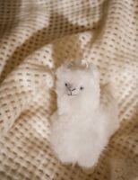 Billede af Elvang Teddy Alpaca - Beige FORUDBESTIL: FEBRUAR 2026