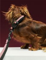 Billede af HAY Dogs Collar Flat M/L: 65 cm - Pink/Black 