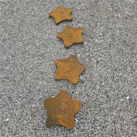 Billede af Wolff Nordic Falling Star Trædeflise Ø: 35 cm - Støbejern