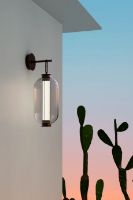 Billede af Parachilna Bai A Ba Ba Outdoor Væglampe Ø: 27 cm - Dark Brown/Transparent