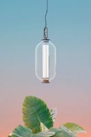 Billede af Parachilna Bai T Ba Ba Outdoor Pendel Ø: 27 cm - Dark Brown/Transparent