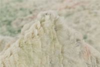 Billede af Rezas Eternity Palms Gulvtæppe 240x170 cm - ZNH-56 Pastel SIlver/Pink