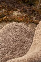 Billede af Vipp 469 Lodge Lounge Chair Low H: 77 cm - Dark Oak/Sheepskin Curly Umber